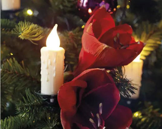 LED jumbo candle light ind GB green/classic warm