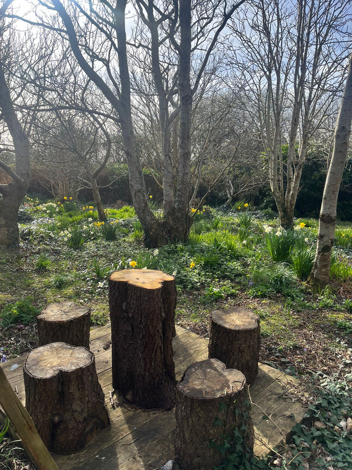 Biodiversity and Sustainability 2.5 Hour Gardening Class (25th July Starts 10am)