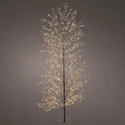 Black Full-Branch Outdoor Artificial Christmas Tree with Classic Warm Micro LEDs - W: 70 cm x H: 180 cm
