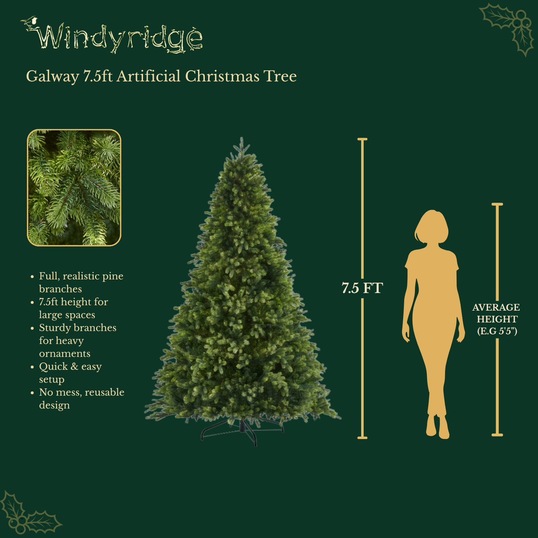 GALWAY - 7.5ft Tree