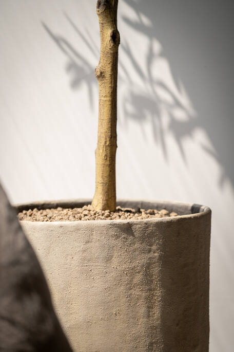 Misa L, Wabi Beige Ø50cm