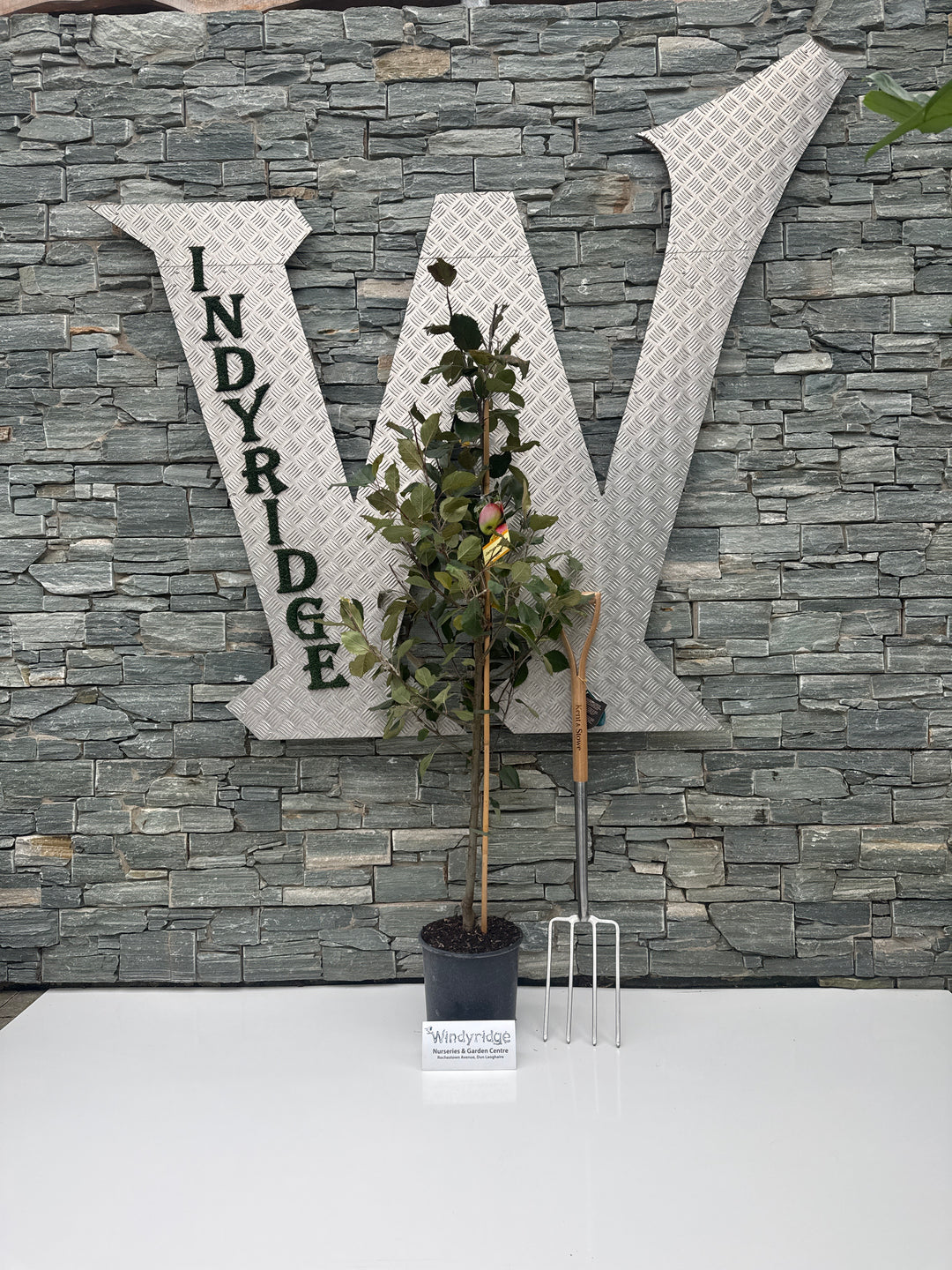 APPLE JAMES GRIEVE Std 10ltr 2 YR BUSH 10Ltr