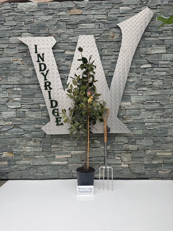 APPLE JAMES GRIEVE Std 10ltr 2 YR BUSH 10Ltr