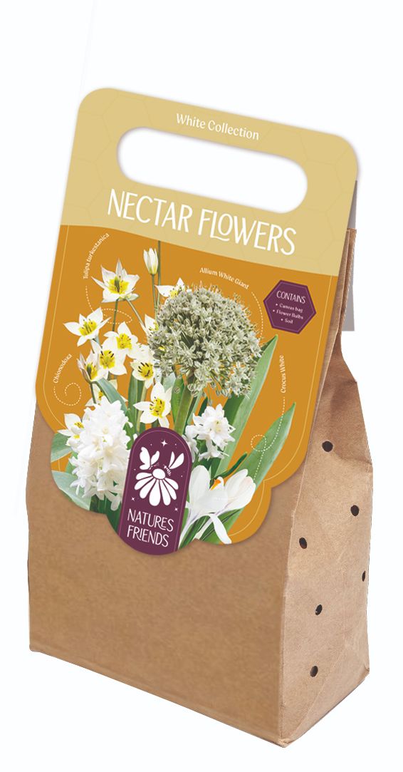 NECTAR CREAMY WHITE COLLECTION x 40
