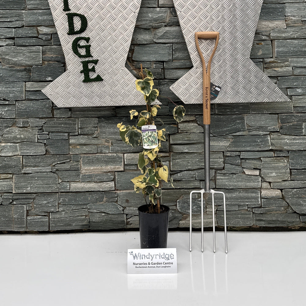 Decorative metal letter 'W' with 'INDY RIDGE' text on a stone wall background