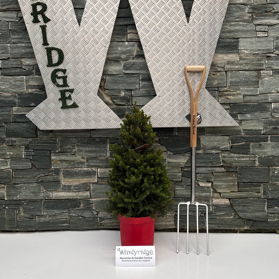 Decorative metal letters spelling 'INDY RIDE' on a stone wall with a plant and small box.
