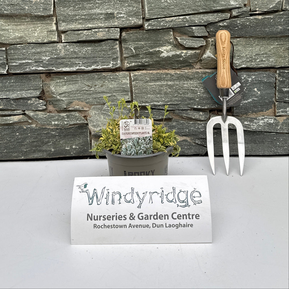 Decorative stone wall with a garden fork and small plant, branded 'Windsor & Garden Centre'.