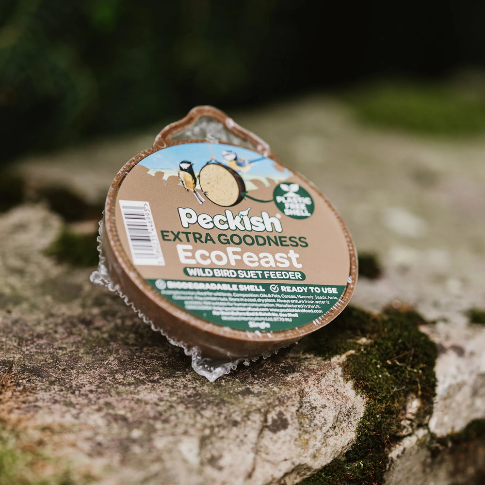 Peckish Extra Goodness Ecofeast Feeder Single - Bird Care And Wildlife - Windyridge Garden Centre