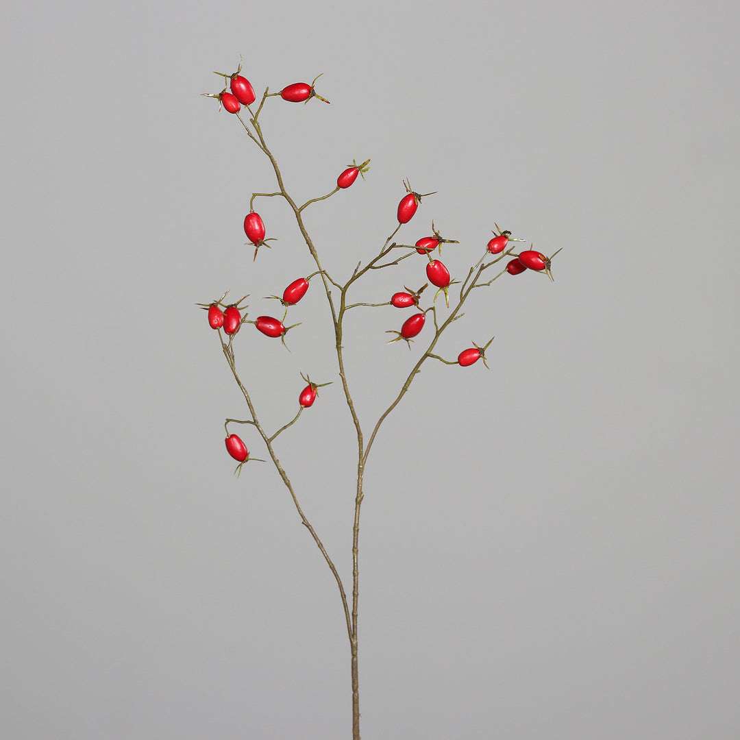 Rosehip branch, 78 cm, red
