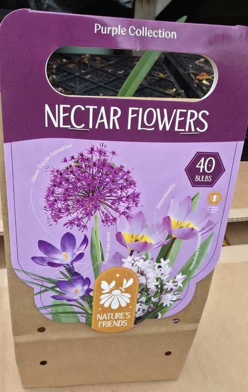 NECTAR PURPLE-PINK COLLECTION x40
