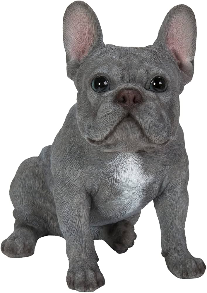 Rl Sitting Blue French Bulldog D - Ornaments - Windyridge Garden Centre