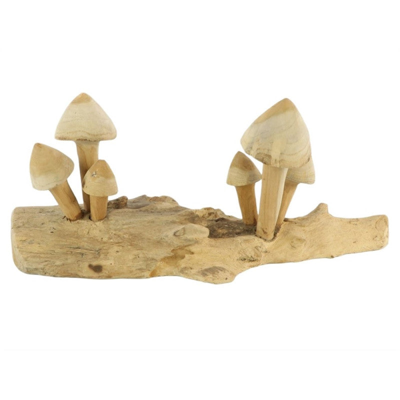 Mushroom Teak Tiram L50W14H20
