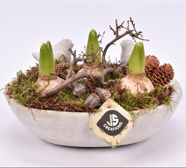 Arr. Hyacinthus Cement bowl 25x16cm