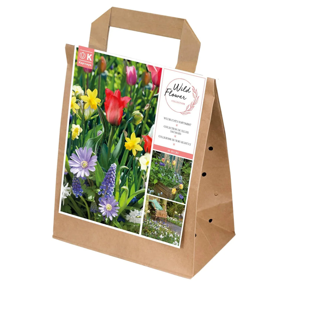SPRING COLLECTION COLOUR THERAPY x 40