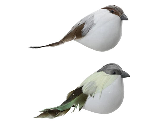 Bird foam on clip 4ass assorted L.15cm x W.6.5cm x H.7.5cm
