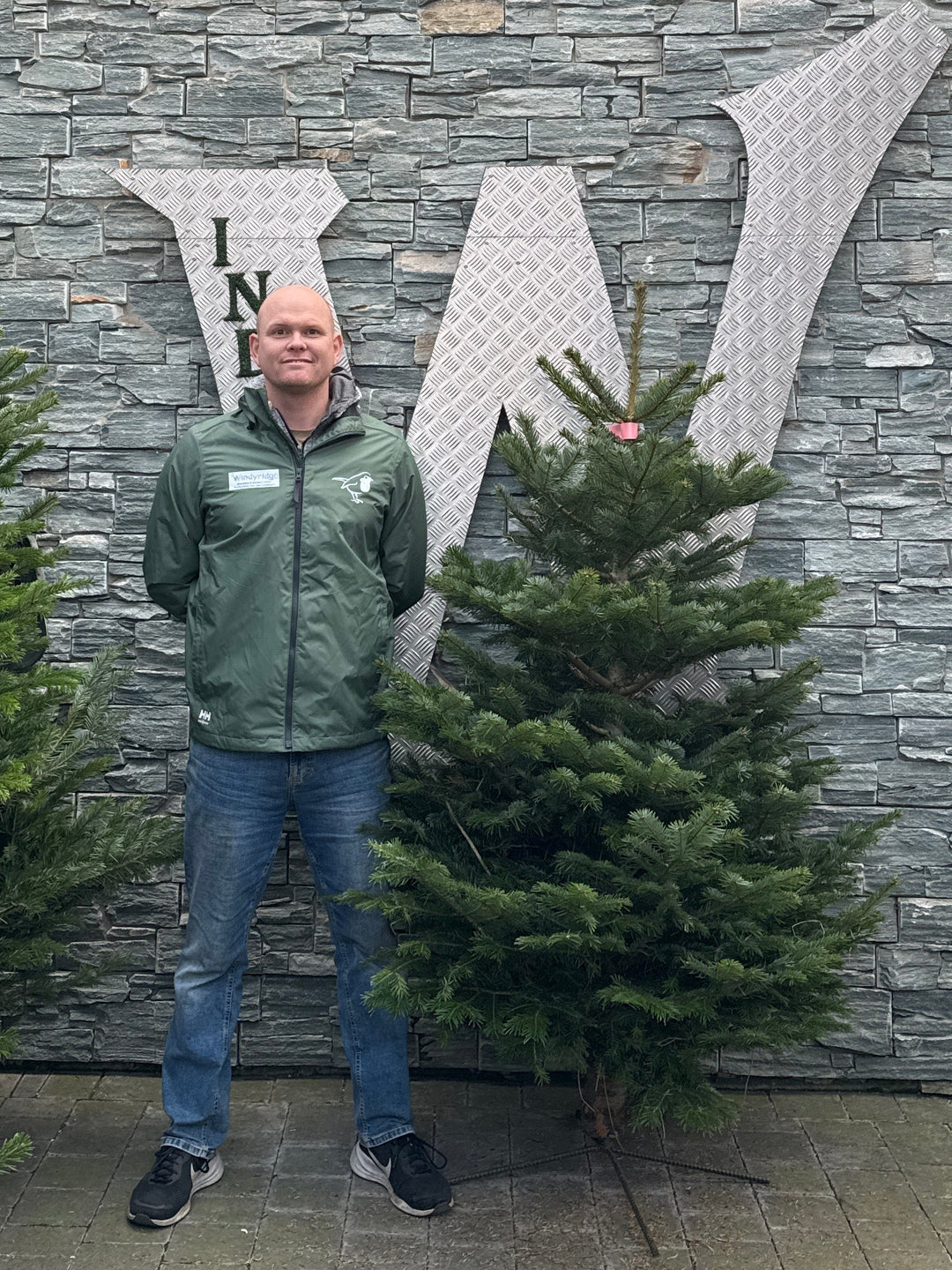 Real Christmas Tree Nordman Fir Pink Tag 5Ft - Christmas Trees - Windyridge Garden Centre
