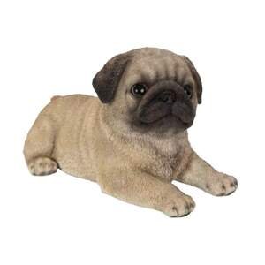 PP Laying Pug Puppy F
