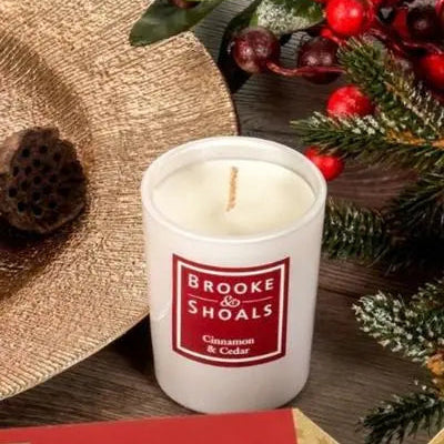 Travel size Candle - Cinnamon and Cedar