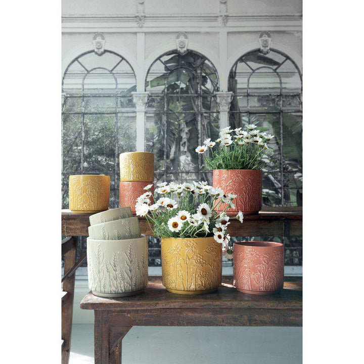 Gunnel Pot  Peach Ø12 X H10Cm - Pots - Windyridge Garden Centre