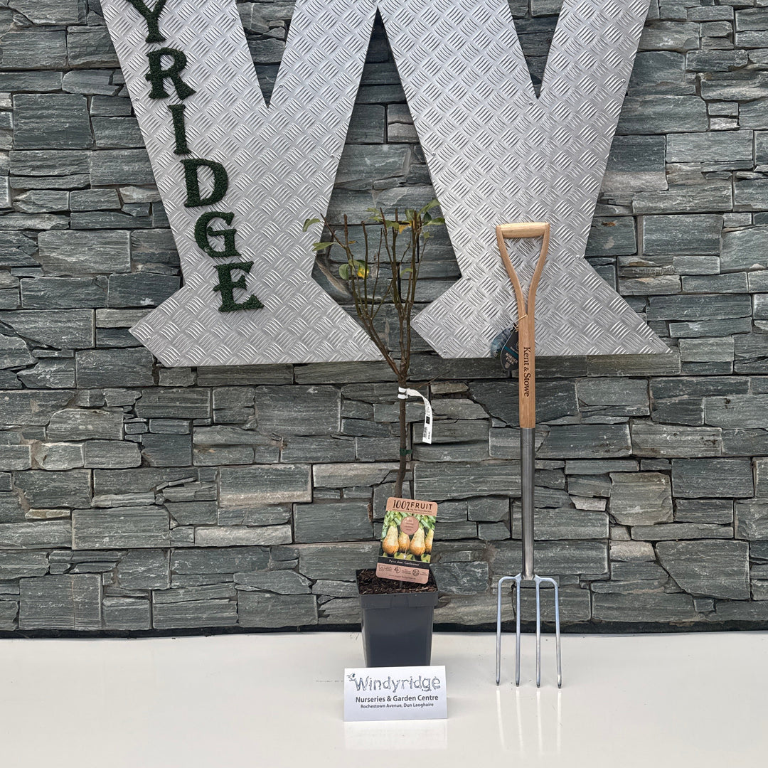 Large letter 'W' with 'INDY RIDGE' on a stone wall background