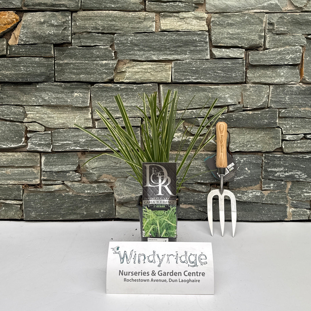 Decorative stone wall with gardening tools and a sign on a white background