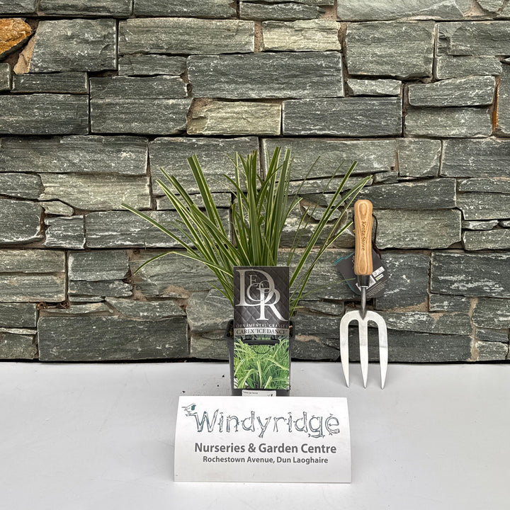 Decorative stone wall with gardening tools and a sign on a white background