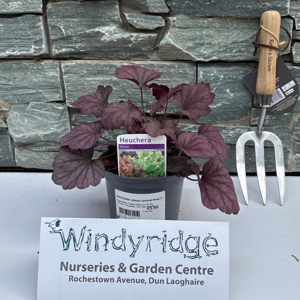 Garden trowel, small plant, and Windy Ridge Nurseries & Garden Centre label against a stone wall.