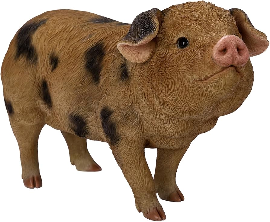 Rl Oxford Sandy/Black Pig D - Ornaments - Windyridge Garden Centre