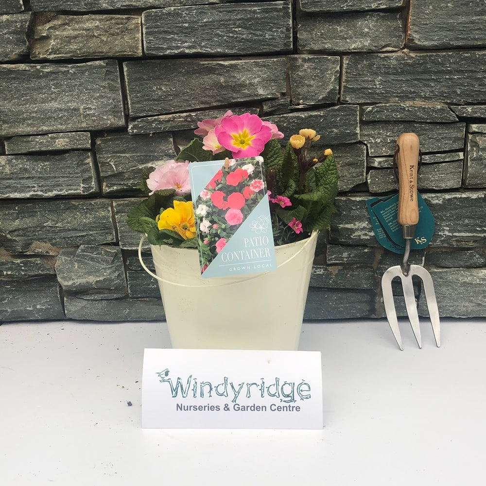 Lemon Zinc Pail - 23Cm - Pots - Windyridge Garden Centre