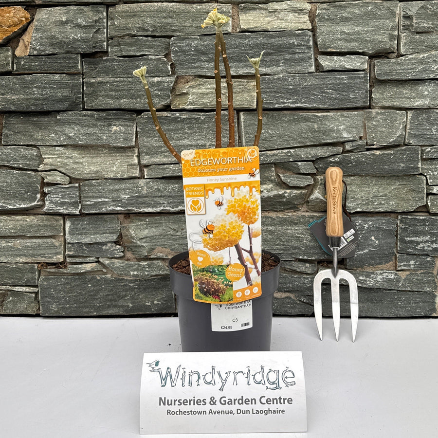 Gardening tools and a plant on a stone wall with a visible brand label.