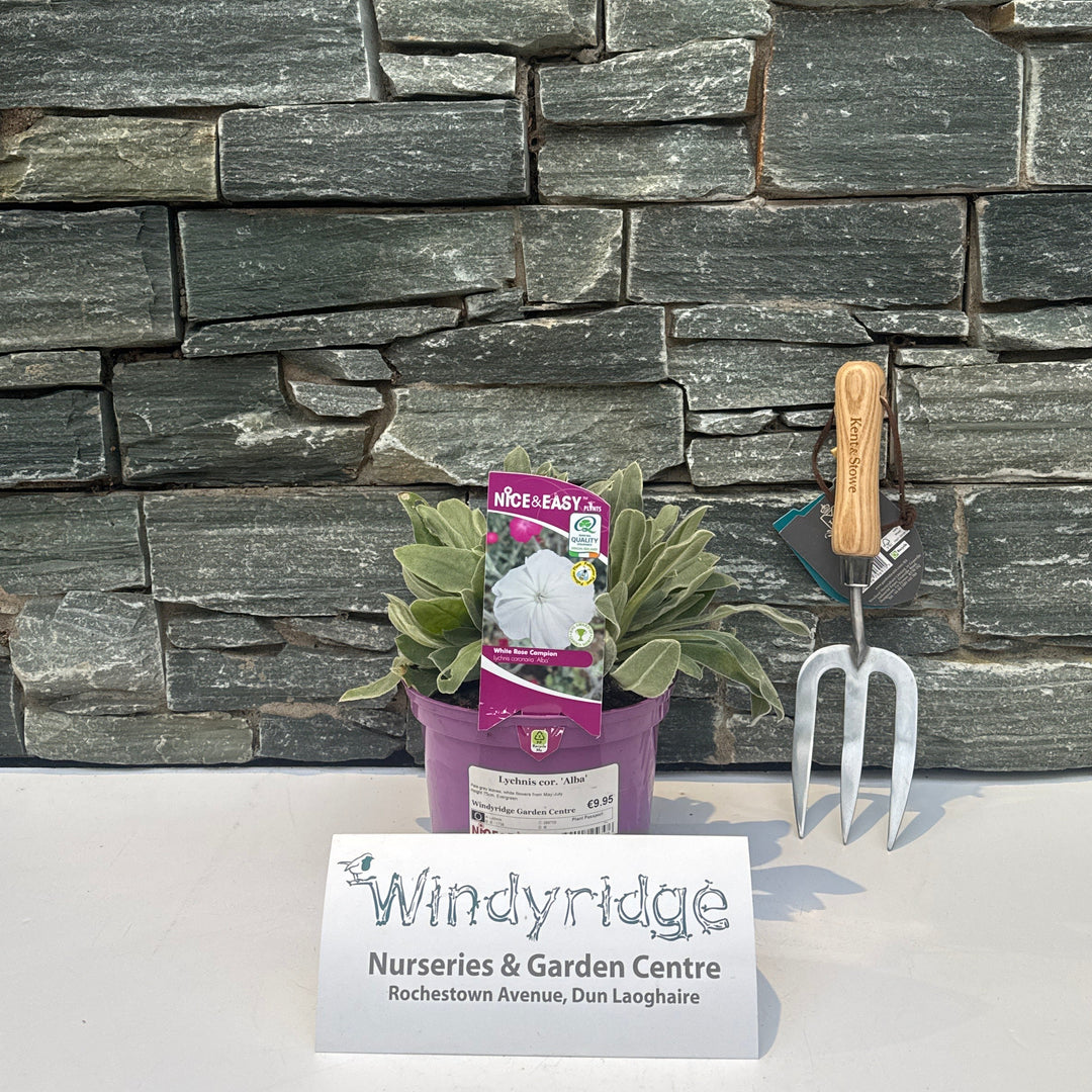 Decorative stone wall with gardening tools and a 'Windyridge' sign.
