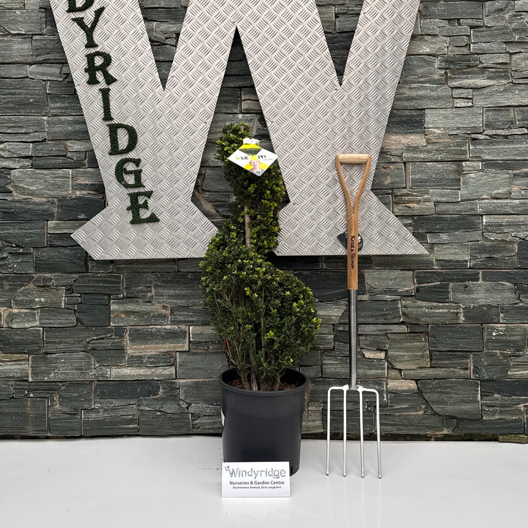 Decorative metal letter 'W' with 'INDY RIDE' on a stone wall.