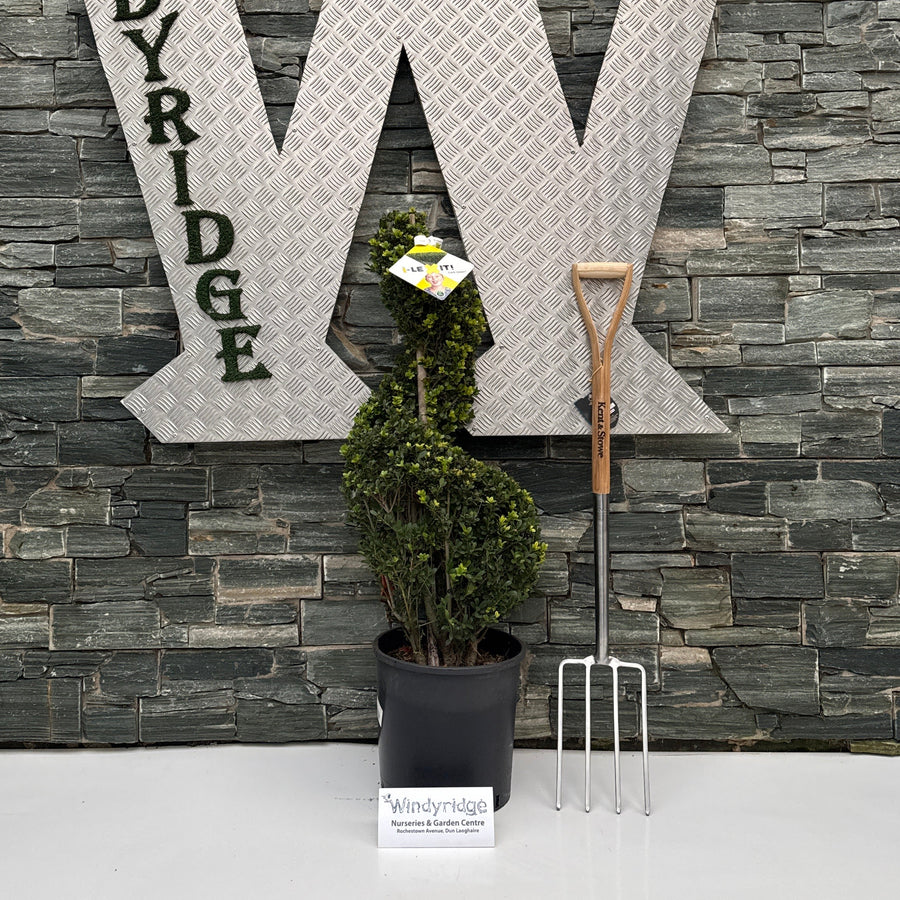 Decorative metal letter 'W' with 'INDY RIDE' on a stone wall.