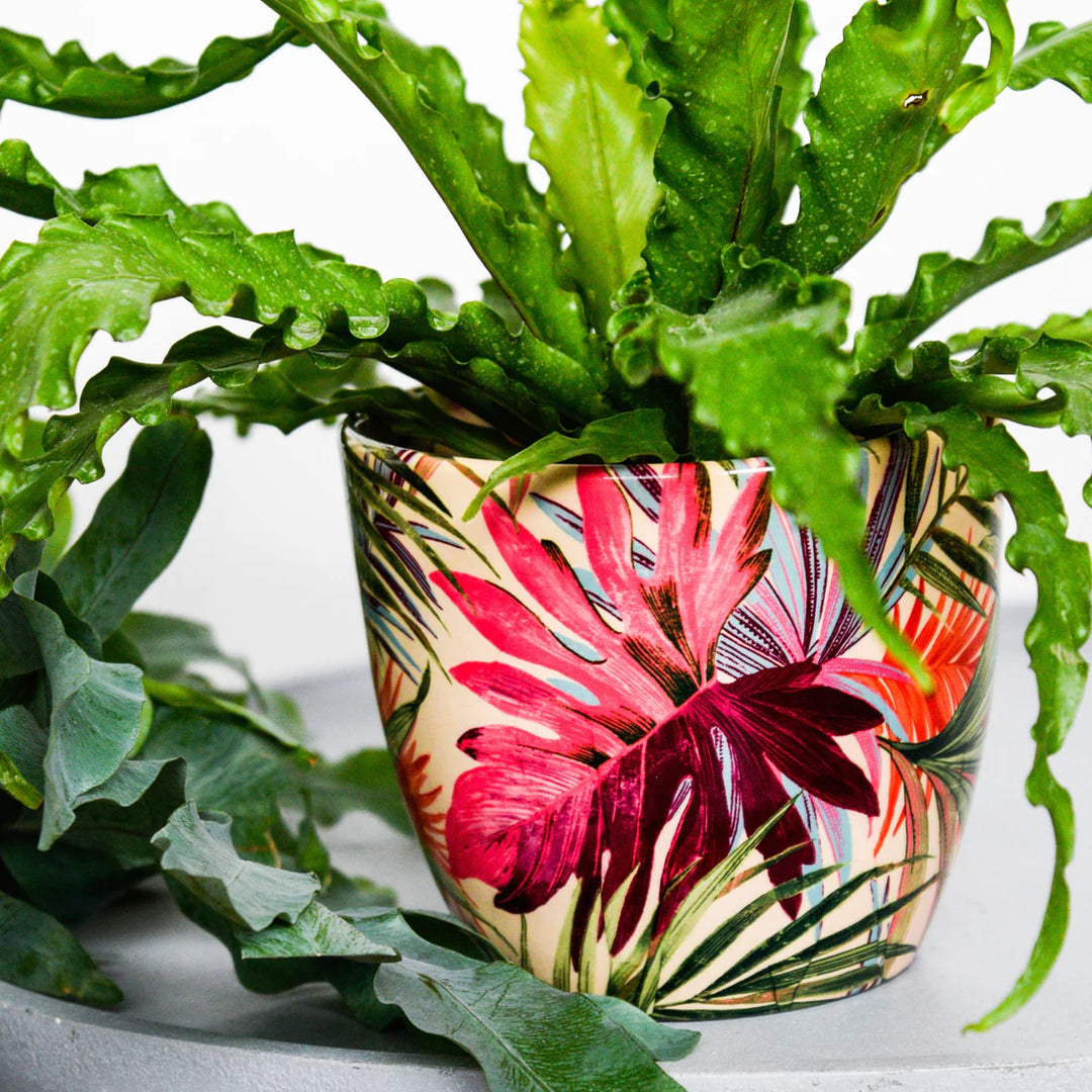 Monza Tropical Fuchsia Ø16cm Planter