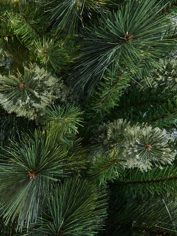 BRAMPTON PINE - 7.5ft Tree with 250 Warm White LED 5mm bulbs and NEW 8 Function