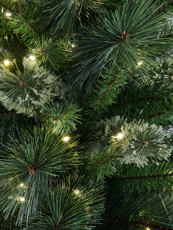 BRAMPTON PINE - 7.5ft Tree with 250 Warm White LED 5mm bulbs and NEW 8 Function