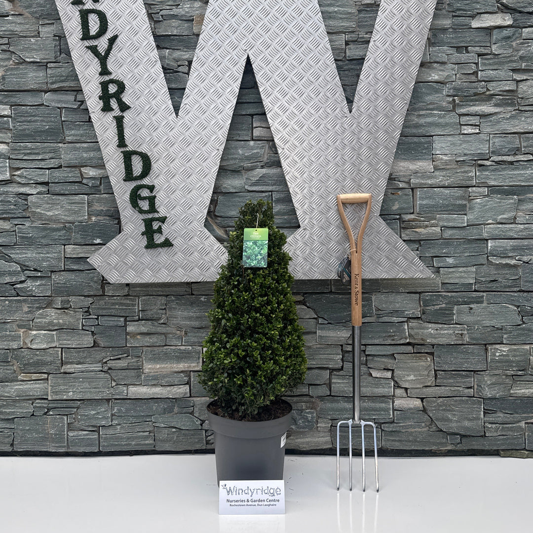 Large decorative letter 'W' with 'INDYRIDGE' on a stone wall background