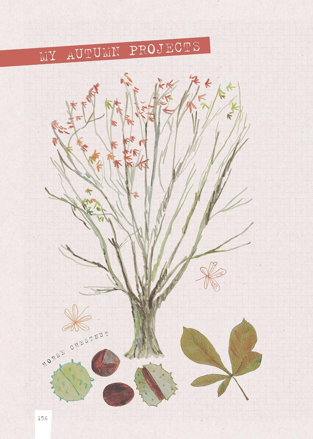 FEWER:MY NATURAMA NATURE JOURNAL