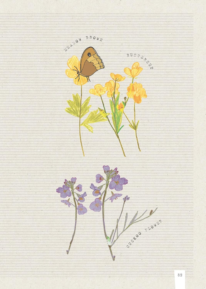 FEWER:MY NATURAMA NATURE JOURNAL