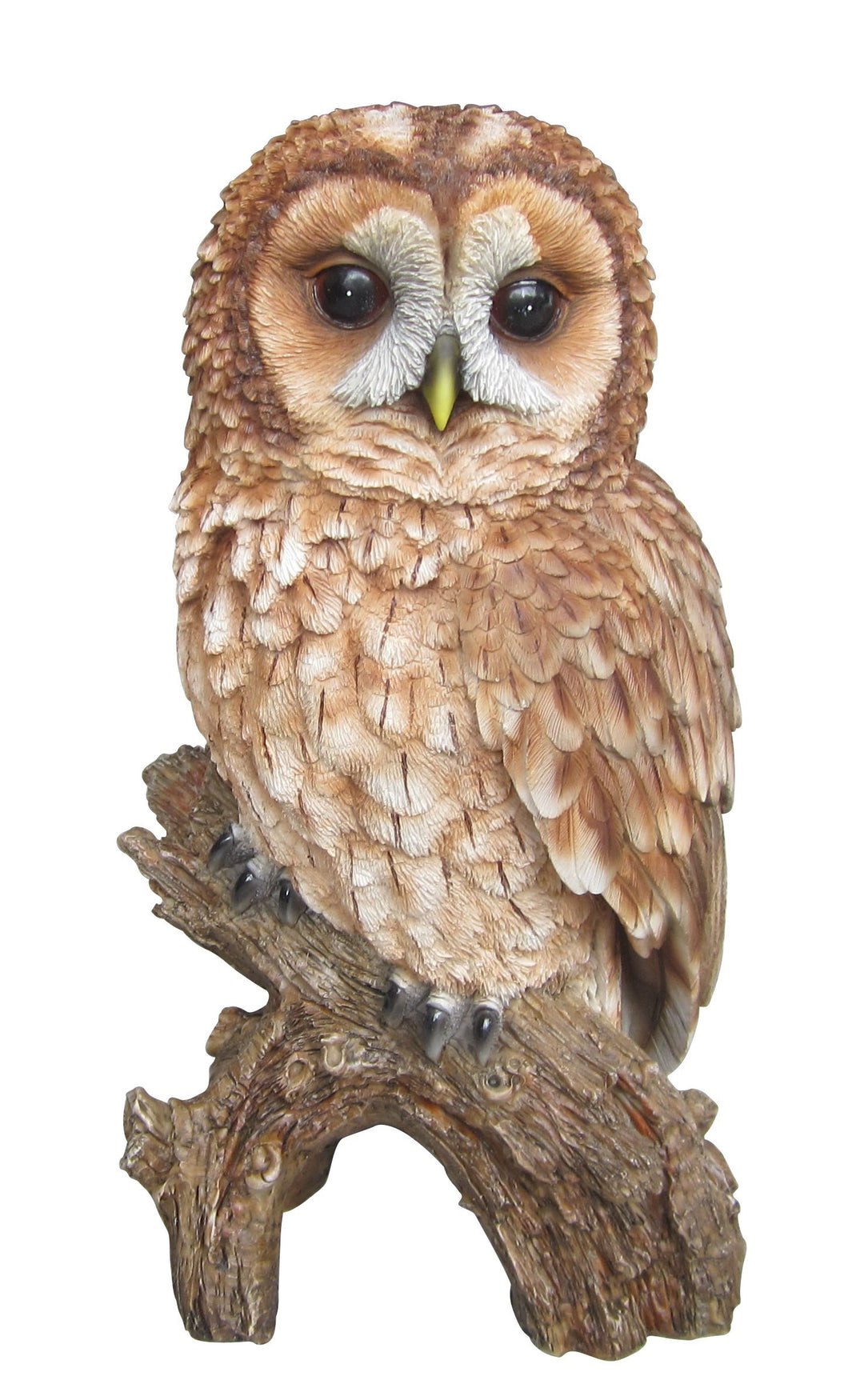 Real Life Tawny Owl F