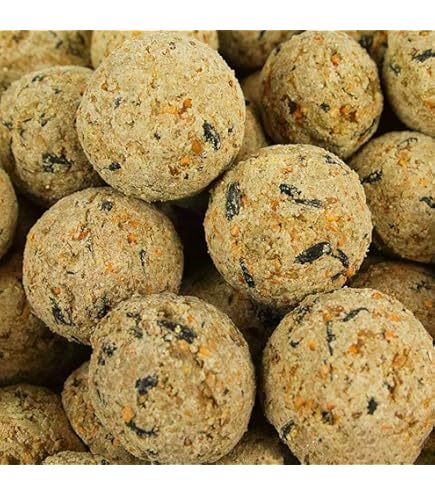 Peckish Complete Energy Balls 50 Tub - Bird Care And Wildlife - Windyridge Garden Centre
