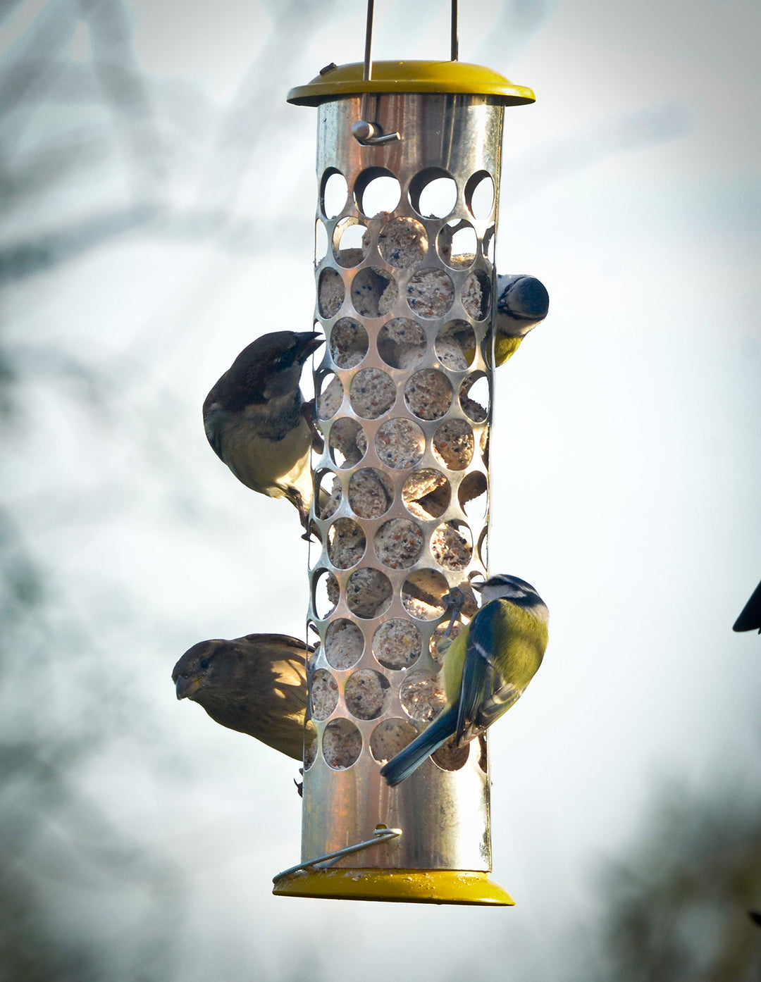 Pk Extra Goodness Feeder- Bird Care And Wildlife - Windy Ridge Garden Centre