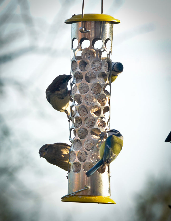 Pk Extra Goodness Feeder- Bird Care And Wildlife - Windy Ridge Garden Centre