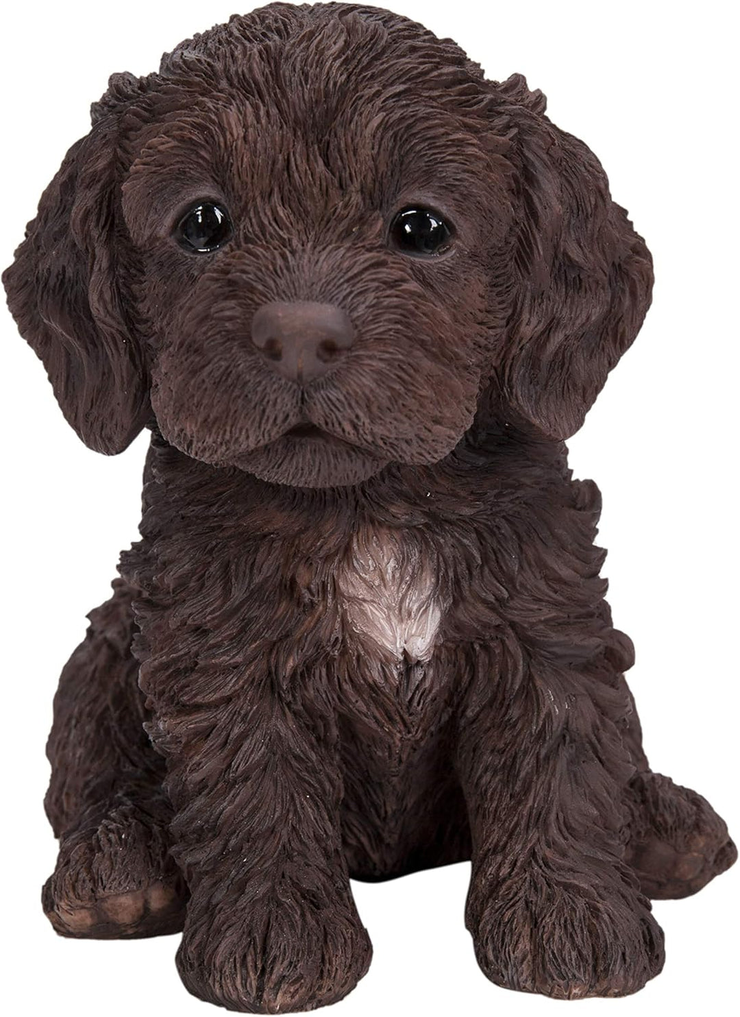 PP Cockapoo Puppy Chocolate