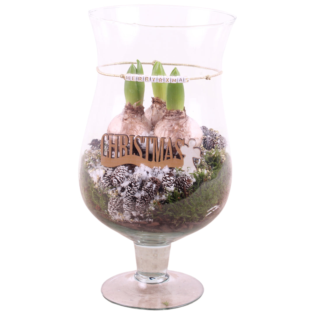 Arr. Hyacinthus Glass Cognac Glass Large Ø17cm 3PP