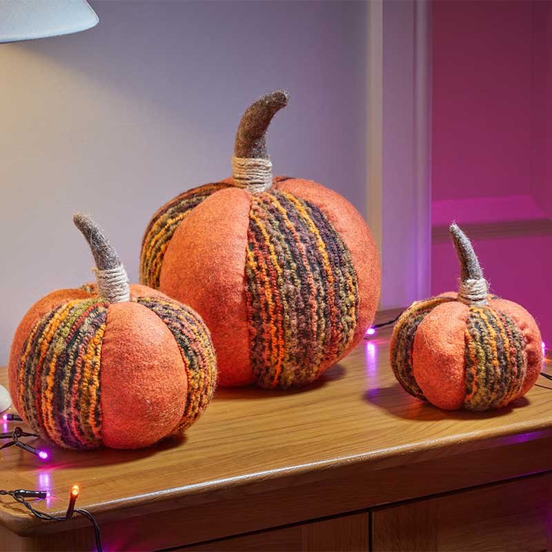 Harvest Pumpkin - XL