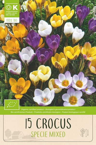 BIO CROCUS SPECIE MIXED COLOURS x 15