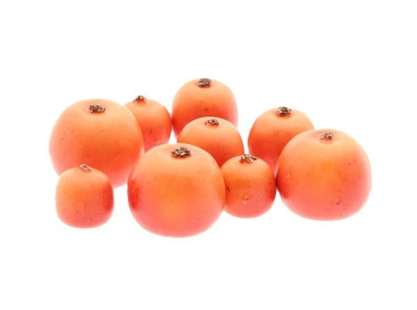 Apple Malus Orange