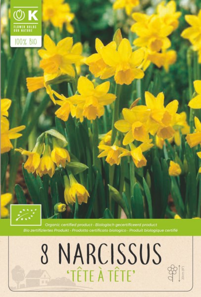 BIO NARCISSUS BOT. TETE A TETE x 8