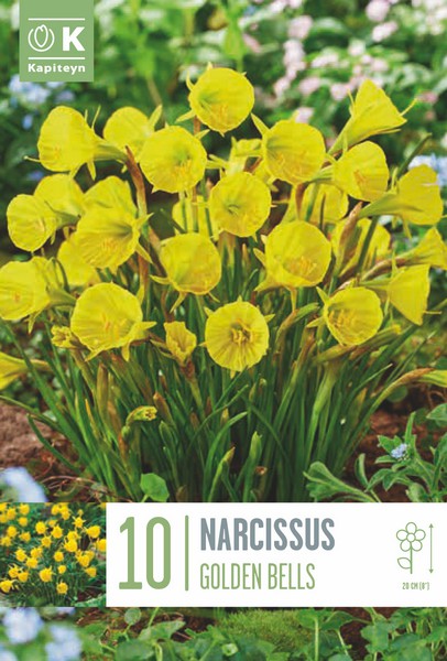 NAR BOTANICAL GOLDEN BELLS x10